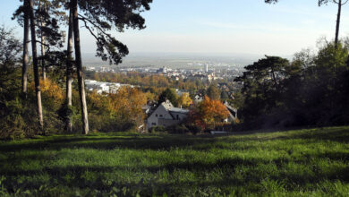 Blick auf Eisenstadt