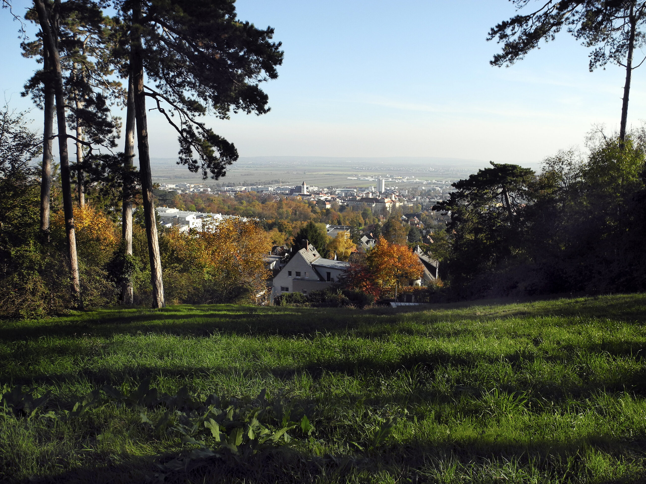 Blick auf Eisenstadt